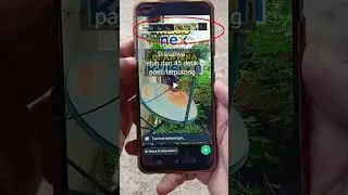 Sekarang Bisa Upload Status Video Panjang Di Whatsapp 