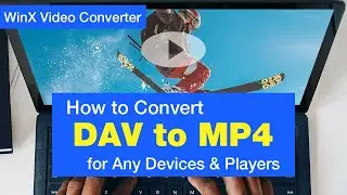 How to Convert DAV Files to MP4 for Playing on Any Devices & Players