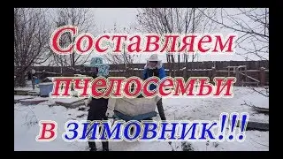 СОСТАВЛЕНИЕ ПЧЕЛОСЕМЕЙ В ЗИМОВНИК,  на зимовку. НЕПРАВИЛЬНЫЙ КЛУБ пчёл. Beekeeping🔥🔥🔥.