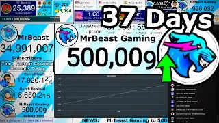 MrBeast Gaming From 3k to 500k Subscribers!!