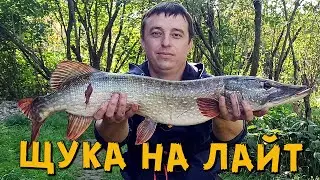 Щука в сентябре на спиннинг! Ловля щуки на живца! Кружки! На что лучше ловить щуку в сентябре!?