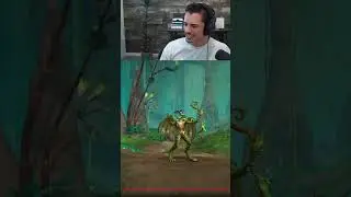 Dracthyr Hunters?!