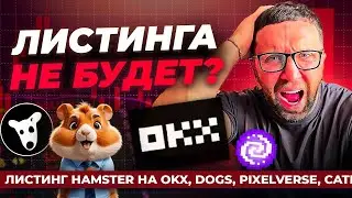 Листинга Hamster Combat НЕ БУДЕТ?! Самый большой СКАМ в Телеграм