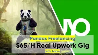 Making $65 per Hour on Upwork with Pandas