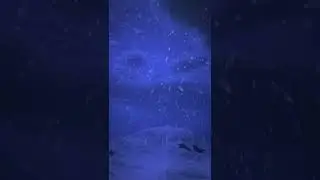 Heavy Snowfall in the Mountains Created in Unreal Engine 5