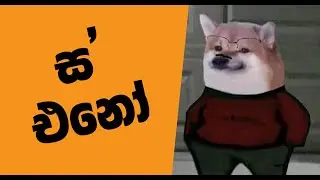 Gotabaya Rajapaksa Return to Sri Lanka
