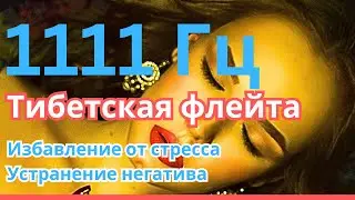 Тибетская целительная флейта, Успокоение ума, Устранение стресса, Устранение негативности, 1111 Гц