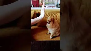 Максим!!