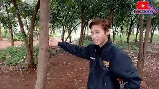 Menarik Benda Dari Pohon VIRAL !!!