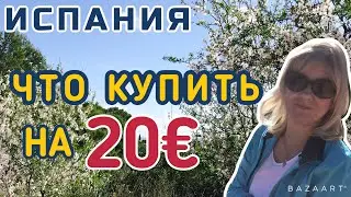 Испания Что купить на 20 евро ( Lidl) 