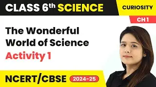 The Wonderful World of Science - Activity 1 | Class 6 Science (Curiosity) Chapter 1 | CBSE 2024-25