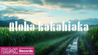 Hawaiian Music for Relaxation: Start Your Morning with Calm and Serenity | Morning BGM