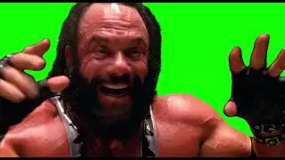 Randy Savage saying "Hey Freakshow! You're going NOWHERE!" meme - Spider-Man - Green Screen