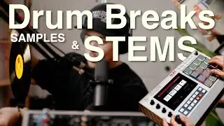 STEM SEPARATION with MPC Live: Drum Breaks and Sample Chops