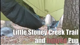 Little Stoney Creek Trail with Injured Pup