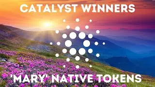 Cardano Mary Network Upgrade, Project Catalyst Winners!