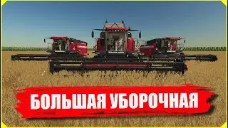 ✔Farming simulator ТЫСЯЧИ ТОНН ЗЕРНА - БОЛЬШАЯ УБОРОЧНАЯ !!! ОГРОМНЫЕ ПОЛЯ   🅻🅸🆅🅴 #фс22 #фс19 #моды