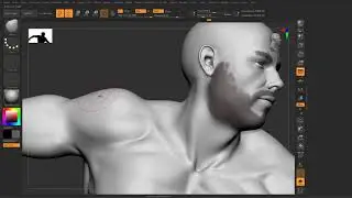 Basics of Arm sculpting