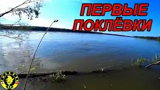 ДОЛГОЖДАННЫЕ ПОКЛЁВКИ! ОТДЫХ И РЫБАЛКА С СЫНОВЬЯМИ В СУЗУНЕ Ч2.