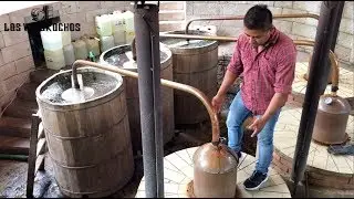 Producción de Mezcal: Tour Destilería Los Danzantes