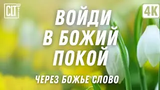 Уверенность в Божьей заботе | Включайте на весь экран и наполните свой дом красотой природы и Словом