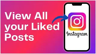 How to View All your Liked Posts on Instagram 2024