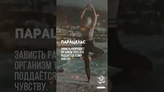 Парацельс - Вся Вселенная отражается в человеке. 