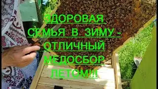 Молочная кислота !!! Технология обработки от клеща Варроа и не только !!!