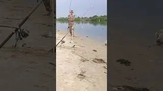 РЫБАЛКА НА ДОНУ 