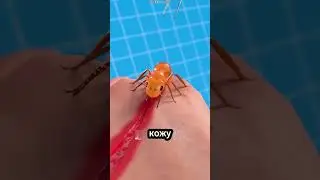 Секреты выживания муравьи как живая нить😱   