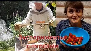 Как живу без жены в деревне.