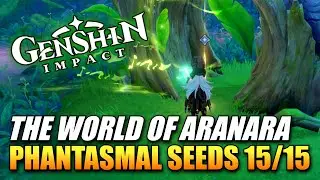 Genshin Impact - The World Of Aranara / Collect Phantasmal Seeds (World Quest Guide)