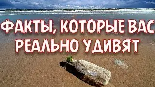 САМЫЕ УДИВИТЕЛЬНЫЕ ФАКТЫ О БУТЫЛОЧНОЙ ПОЧТЕ!