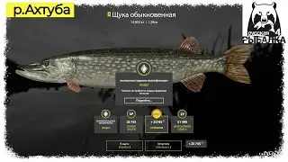 Russian Fishing 4, #РР4...#Трофейная Щука - р.#Ахтуба. Русская рыбалка 4 #рр4