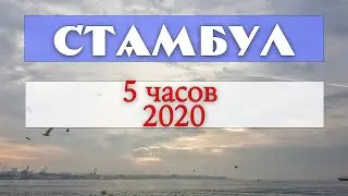 Пересадка в Стамбуле. Всего 5 часов. Реалии 2020