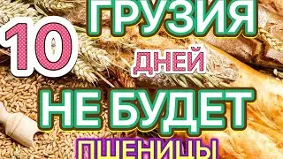 Грузия через 10 дней нету пшеницы ,что ожидает мир нехватка пшеницы Дефицит пшеницы