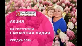 Гортензия Самарская Лидия –  отличный подарок !