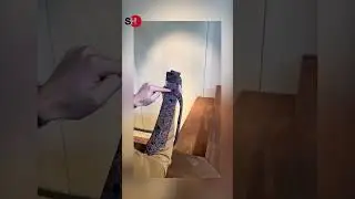 KRAVAT NASIL BAĞLANIR? İŞTE EN KOLAY YÖNTEM!
