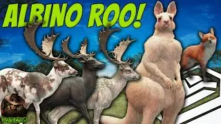 We Got An ALBINO KANGAROO Next To 2 Other Trophies & More On Emerald Coast! Call of the wild