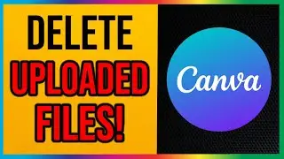 How to Delete Uploaded Files in Canva (2024)