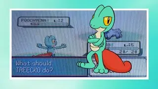 LIVE!!! 2nd Shiny Treecko after 3276 SRs!