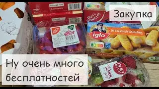 Закупка на неделю для семьи в Германии с ценами. Новые акции.