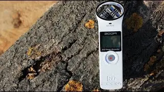 САМЫЙ НУЖНЫЙ ГАДЖЕТ ZOOM H1