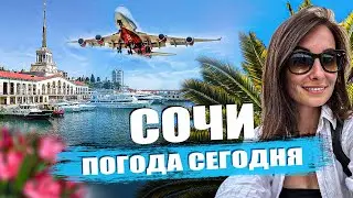 Погода в Сочи в Сентябре. Сочи онлайн. Пляжи Мамайка.