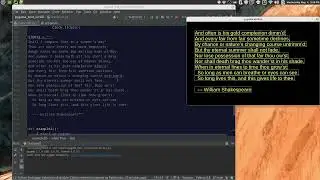 PyGame: Scroll Text - Technique and Code Walk Through