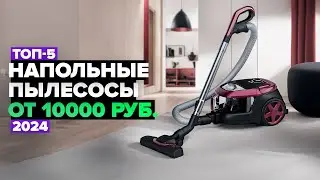 ТОП-5 лучших пылесосов в 2024 💨 Какой пылесос выбрать?