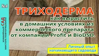 An experiment on growing TRICHODERMA at home from commercial drugs Profit and BioDSO