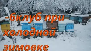 11 ноября - 6 как сформировался клуб