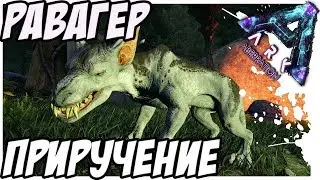 ARK ABERRATION - КАК ПРИРУЧИТЬ RAVAGER (ОПУСТОШИТЕЛЬ) от a596rt.