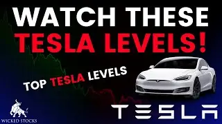 Tesla Stock Price Analysis | Top Levels To Watch for Tuesday, June 25th, 2024